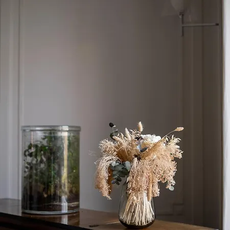 Daire Veeve - Enlightened Elegance Paris